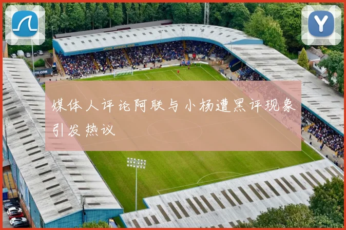 媒体人评论阿联与小杨遭黑评现象引发热议